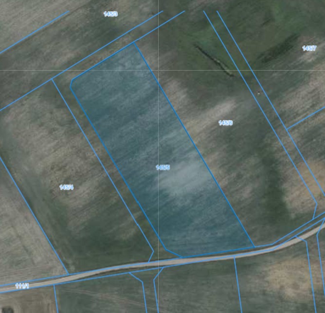 Działka | Pacholewo dz. 145/5 | 1,2975 ha