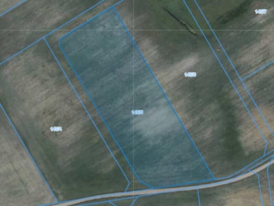 Działka | Pacholewo dz. 145/5 | 1,2975 ha