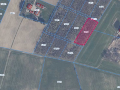 Działka | Kielno dz. 580/8 | 0,3007 ha (KOPIA)