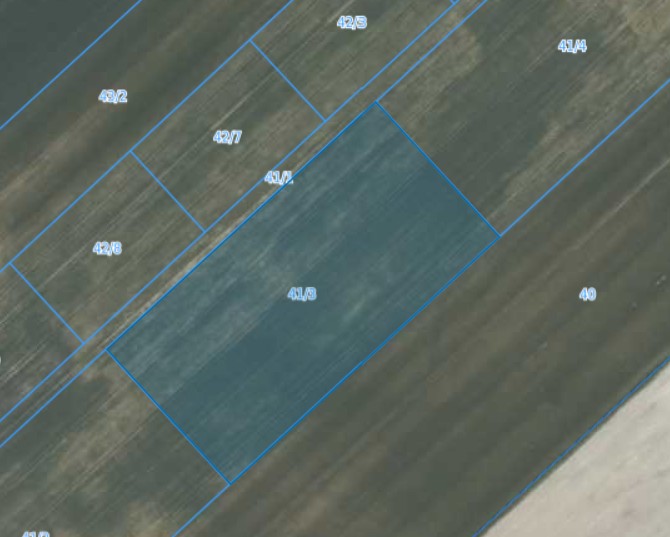 Działka| Jarząbkowice dz 41/3 | 1,2000 ha