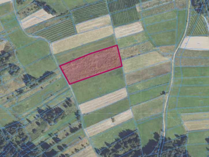 Działka | Bieńkówka dz. 5428 | 0,4221 ha