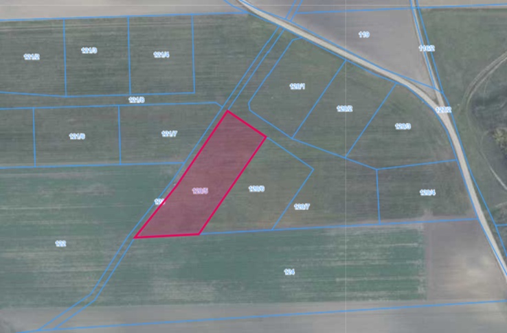 Działka| Brzoza dz 120/5 | 0,3789 ha