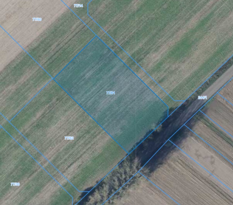Działka | Łagiewniki dz. 77/61 | 0,3061 ha