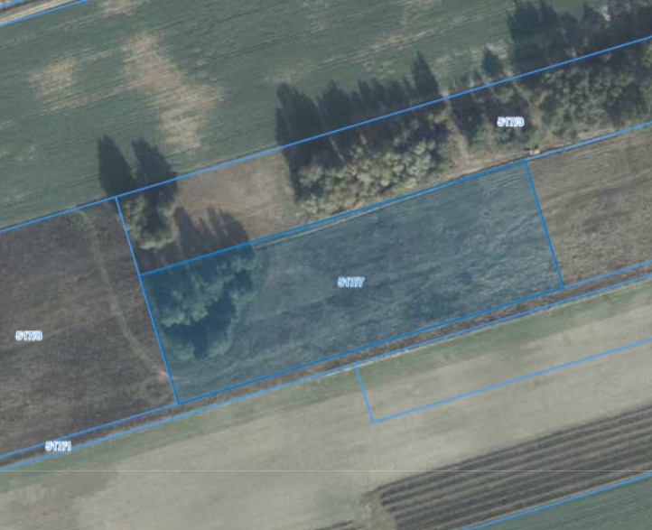 Działka | Wielonek dz. 517/7 | 1,1780 ha