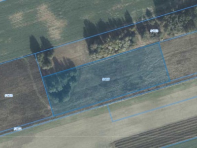 Działka | Wielonek dz. 517/7 | 1,1780 ha