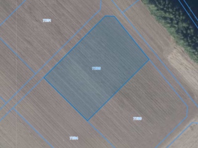 Działka | Łagiewniki dz. 77/65 | 0,3097 ha