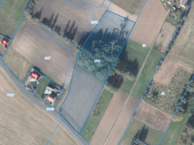 Działka| Gierłatowo dz 53/8 | 1,0203 ha