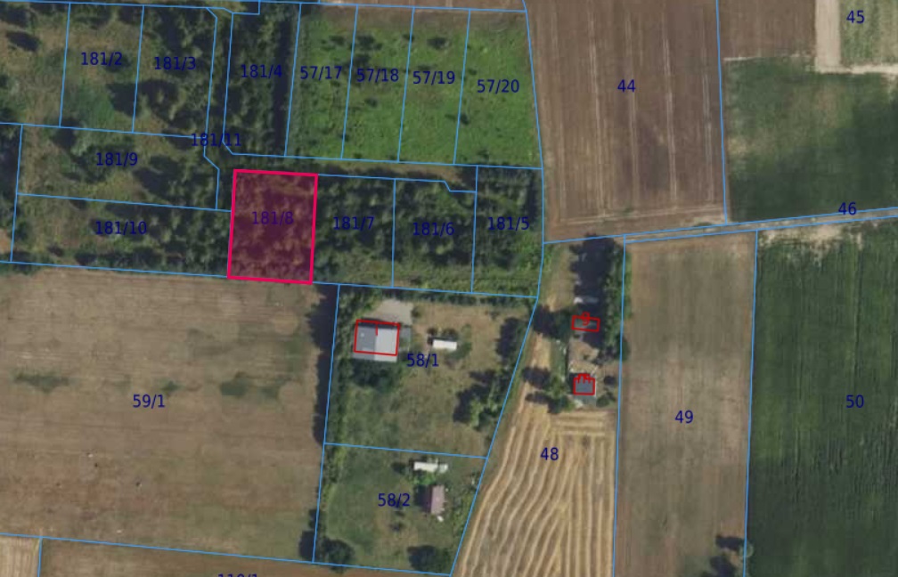 Działka | Cholewy dz. 181/8 | 0,2003 ha