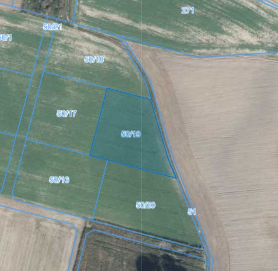 Działka | Węglewo dz. 50/19 |  0,3248 ha