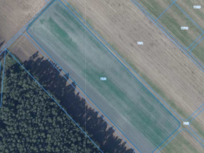 Działka | Łagiewniki dz. 73/3 | 2,4589 HA
