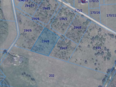 Działka | Ełganowo dz 194/8 | 0,3001 ha