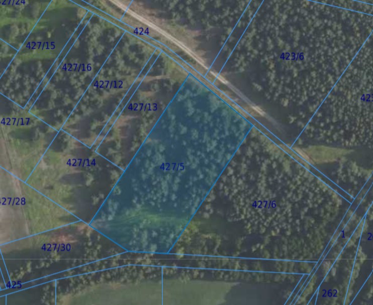 Działka| Grędzina dz 427/5 | 1,0054 ha