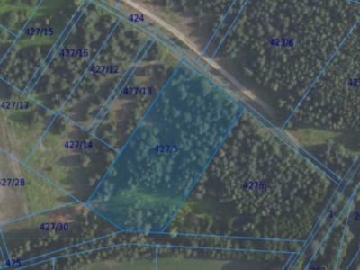 Działka| Grędzina dz 427/5 | 1,0054 ha