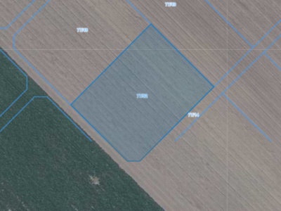 Działka | Łagiewniki dz. 77/52 | 0,3160 ha