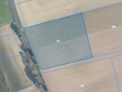 Działka | Luciny dz. 8/3 | 1,1017 ha