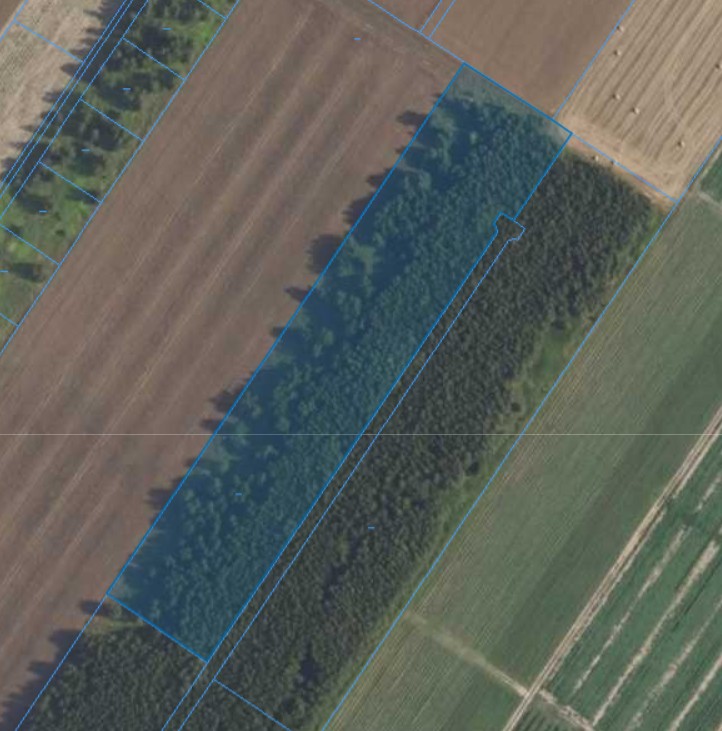 Działka| Kamienica dz 89/5 | 1,4000 ha