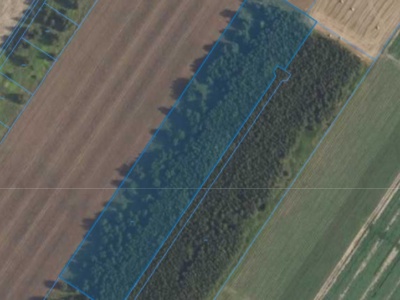Działka| Kamienica dz 89/5 | 1,4000 ha