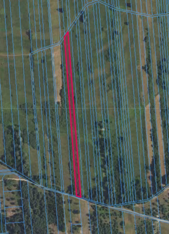 Działka | OLSZEWNICA NOWA dz. 291 | 0,7390 ha