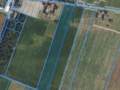 Działka | Wawrzyszew dz. 96| 1,47 ha