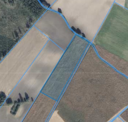 Działka | Baranowo dz. 284/3 | 1,5996 ha