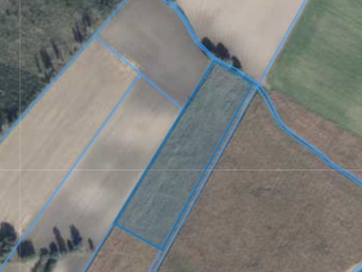 Działka | Baranowo dz. 284/3 | 1,5996 ha