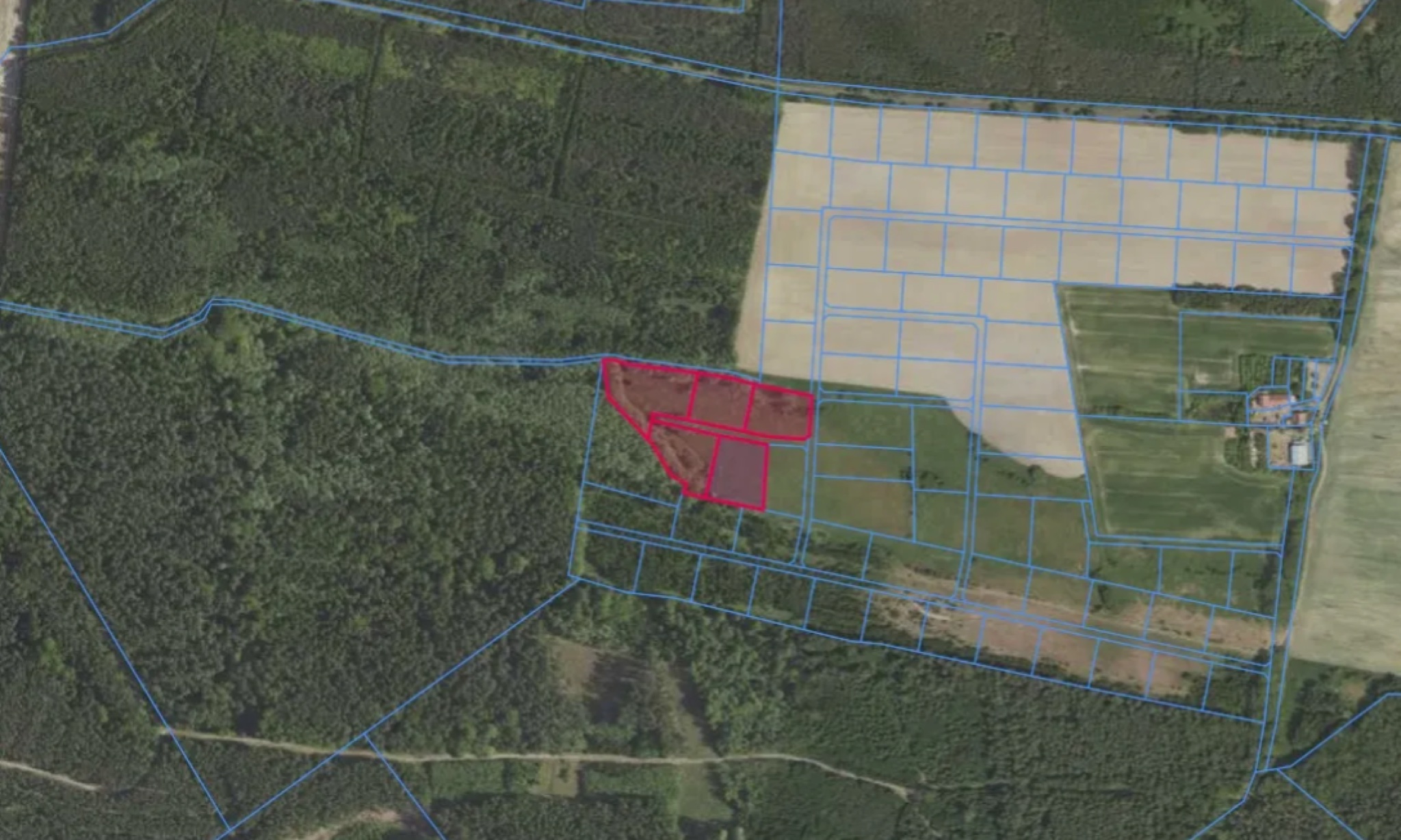 Grabowno Wielkie dz. 31/80, 31/81, 31/82, 31/83, 31/84