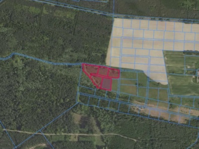 Grabowno Wielkie dz. 31/80, 31/81, 31/82, 31/83, 31/84