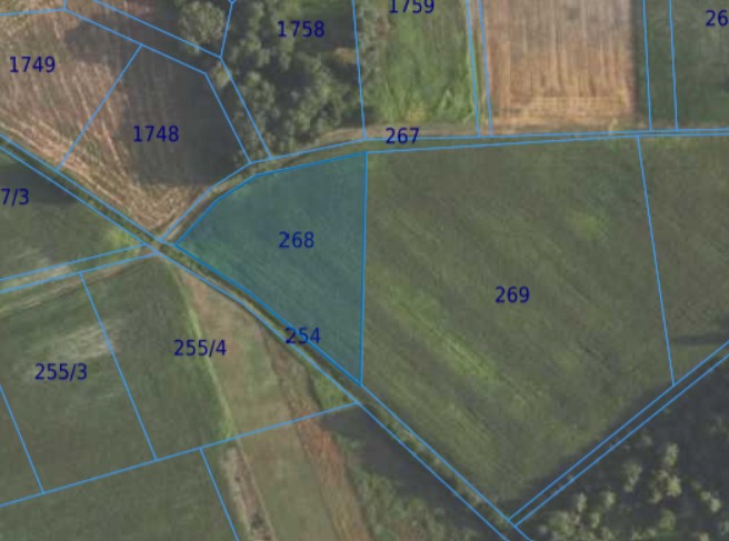 Działka| Grędzina dz 268 | 0,3900 ha