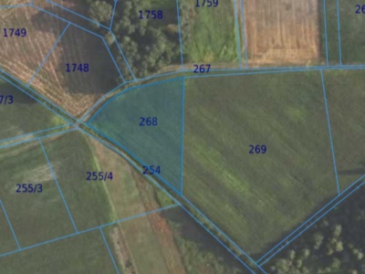 Działka| Grędzina dz 268 | 0,3900 ha