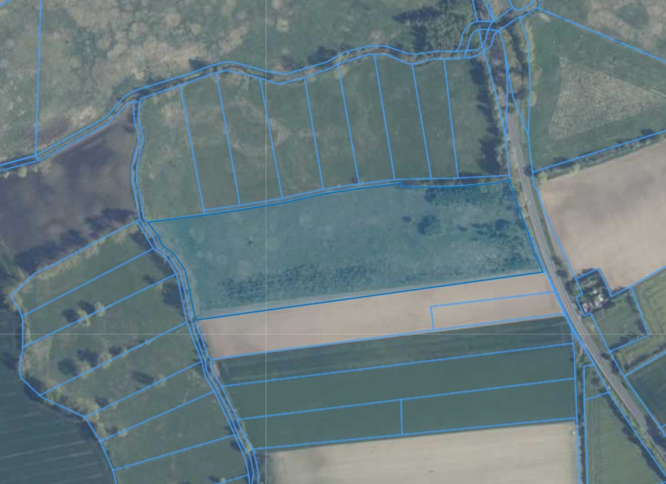 Działka | NIEBOROWO dz. 39/1 | 7,9568 HA