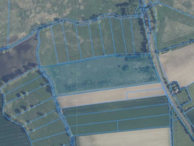 Działka | NIEBOROWO dz. 39/1 | 7,9568 HA