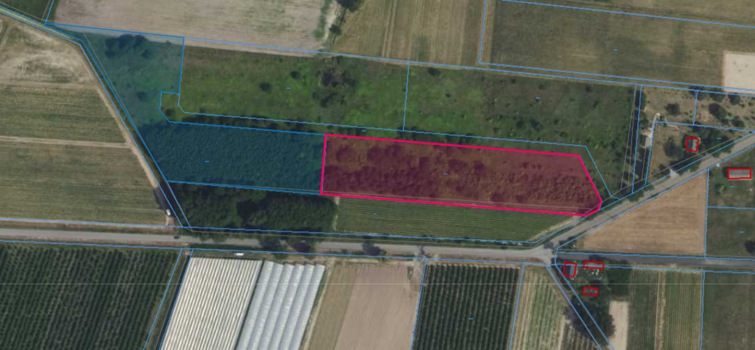 Działka | Boglewice dz. 315/1 i 315/2 | kompleks 1,9020 ha