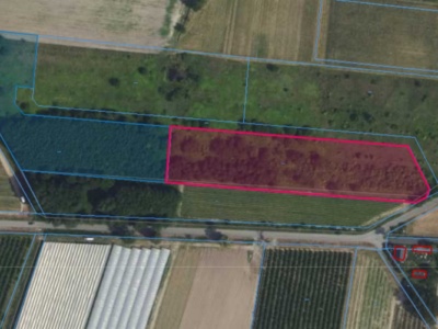 Działka | Boglewice dz. 315/1 i 315/2 | kompleks 1,9020 ha