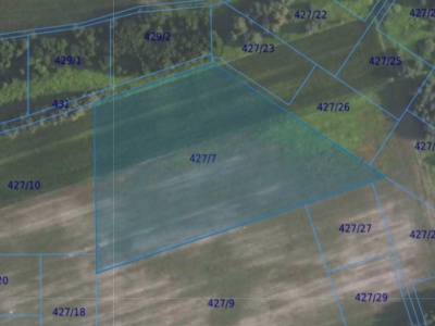 Działka| Grędzina dz 427/7 | 2,0304 ha