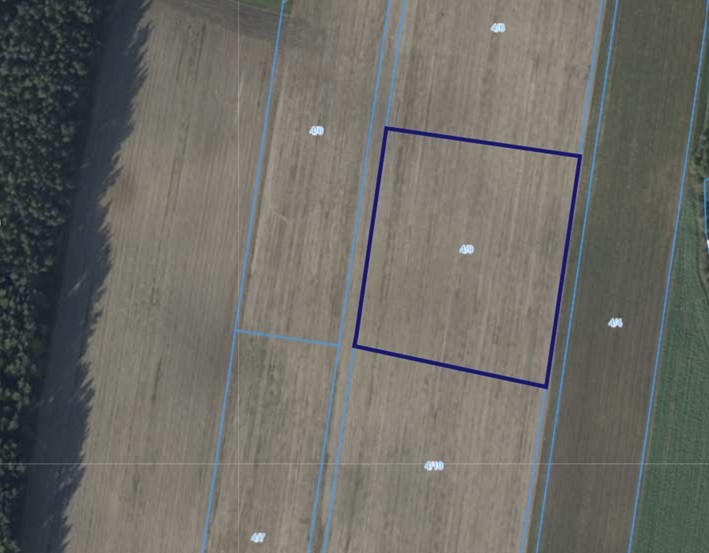 Działka | Bliżyce dz. 4/9 | 1,2039 ha