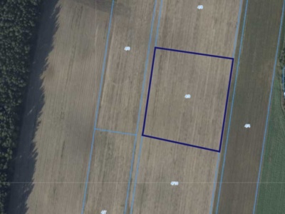 Działka | Bliżyce dz. 4/9 | 1,2039 ha