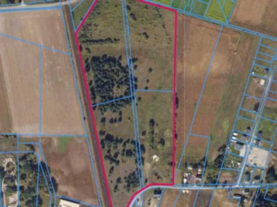 Działka | Tarkowo Dolne dz. 169/7, 169/8, 169/9, 169/10, 169/11 | 8,8374 ha