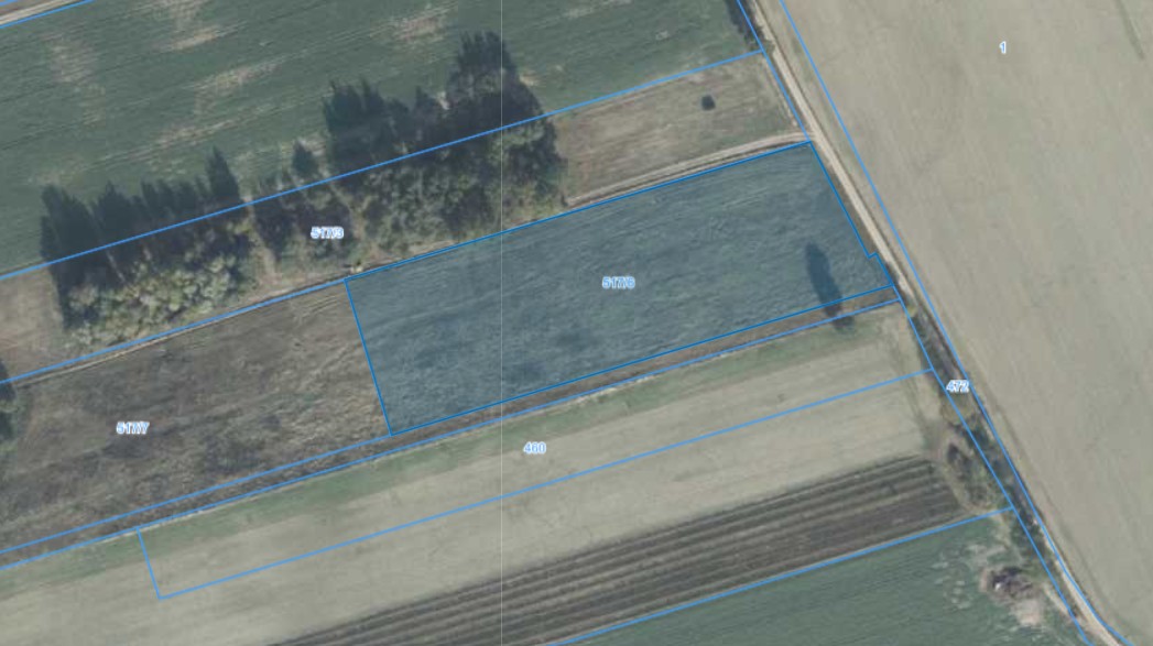 Działka | Wielonek dz. 517/6 |  1,2000 ha