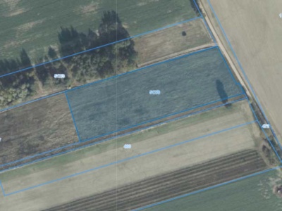 Działka | Wielonek dz. 517/6 |  1,2000 ha