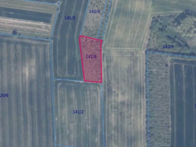 Działka | Gołębiewo dz. 141/8 | 0,3002 ha