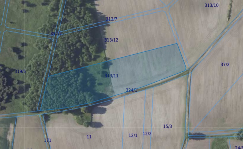 Działka| Chwałowice dz 313/11 | 1,5447 ha