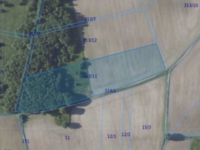 Działka| Chwałowice dz 313/11 | 1,5447 ha