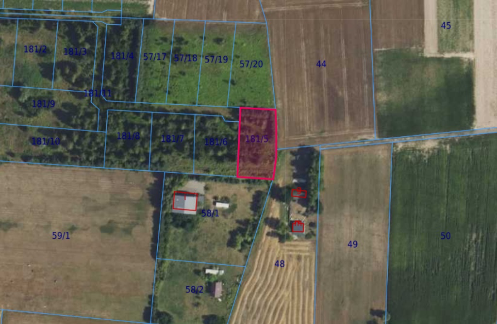 Działka | Cholewy dz. 181/5 | 0,1961 ha