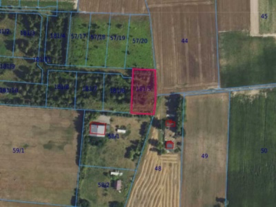 Działka | Cholewy dz. 181/5 | 0,1961 ha