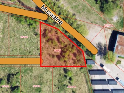 Działka |  KOLONIA BRZEZINY WIELKIE dz. 350/5 | 0,1256 ha