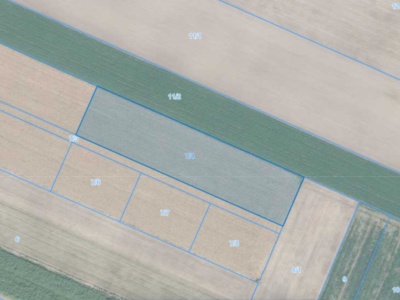 Działka | Rogalin dz. 7/4 | 1,1406 ha