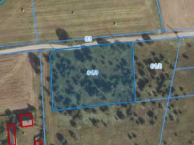 Działka | Strzyżewo Paczkowe dz. 81/9 | 0,3419 ha