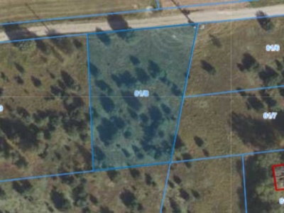 Działka | Strzyżewo Paczkowe dz. 81/8 | 0,1670 ha