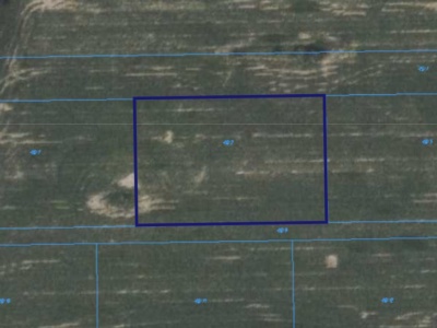 Działka | WOLA BŁĘDOWSKA dz. 46/2 | 0,3000 ha